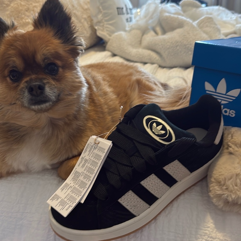 Never worn run big Adidas sneakers NWT